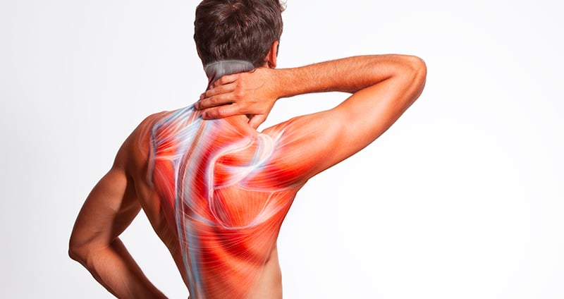 Expert Muscle Stiffness Treatment